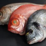 Tipos de pescados