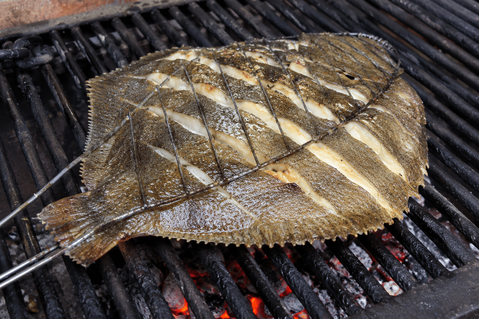 Rodaballo a la brasa Rodaballo a la brasa