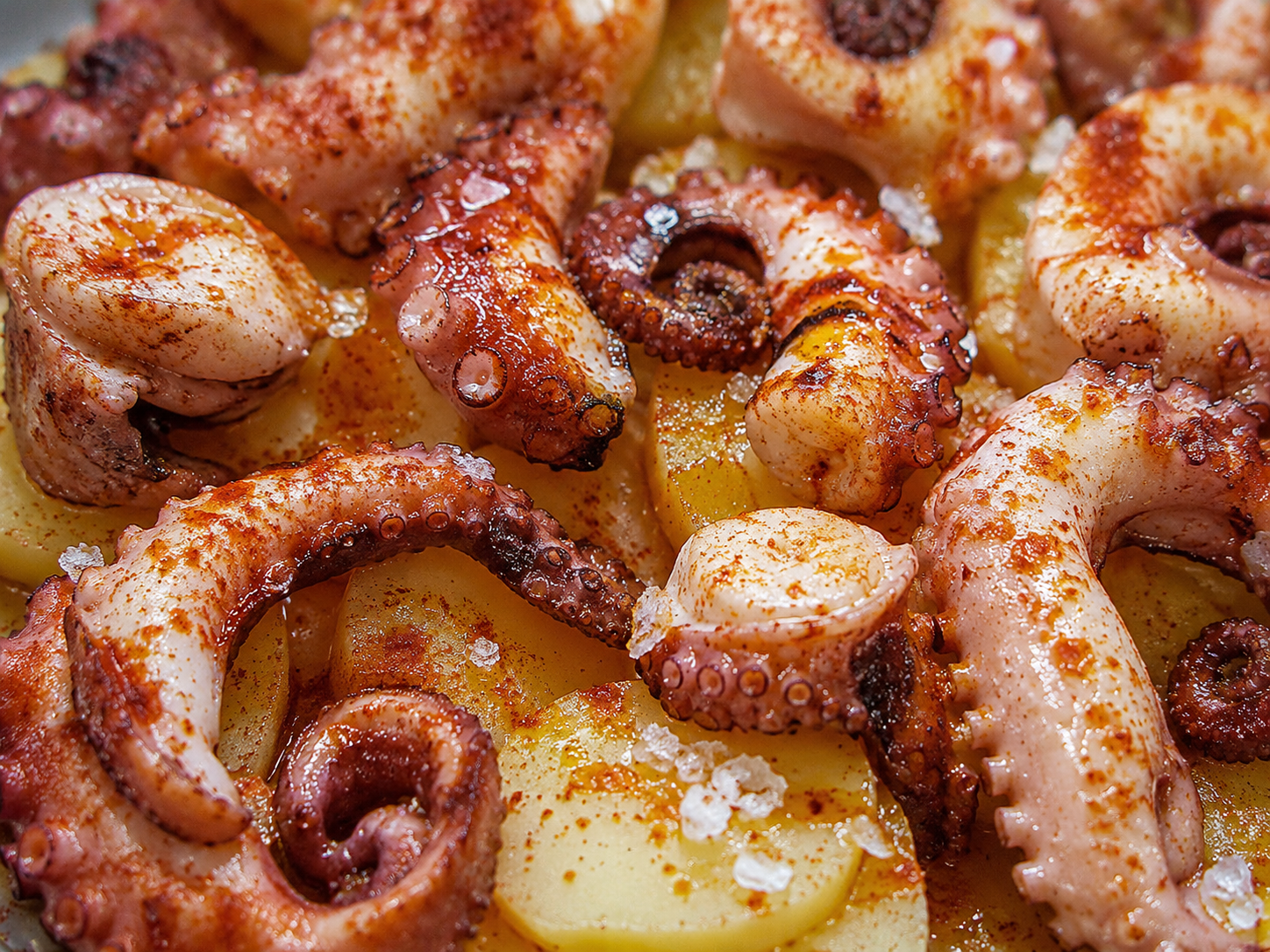 Pulpitos a la gallega pulpitos a la gallega